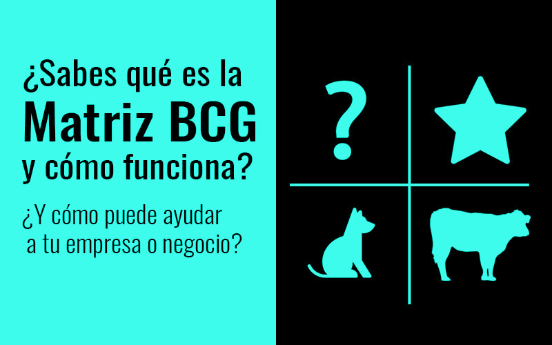 ¿Qué es la Matriz BCG: Incógnita, Estrella, Vaca y Perro?